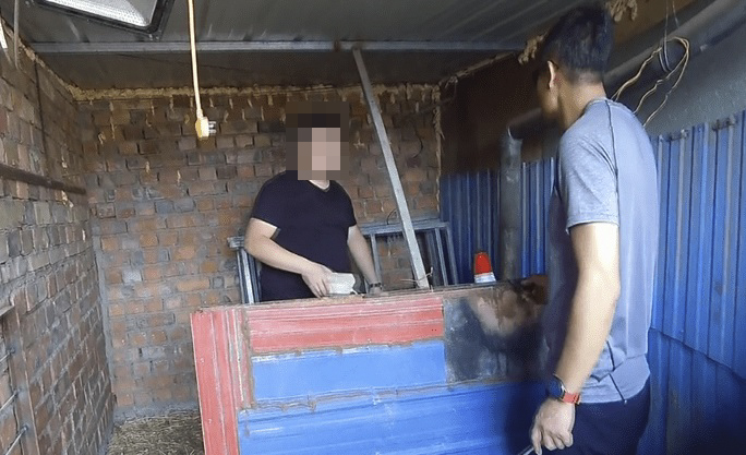 1629774809806424.jpg 1629774809806424.jpg